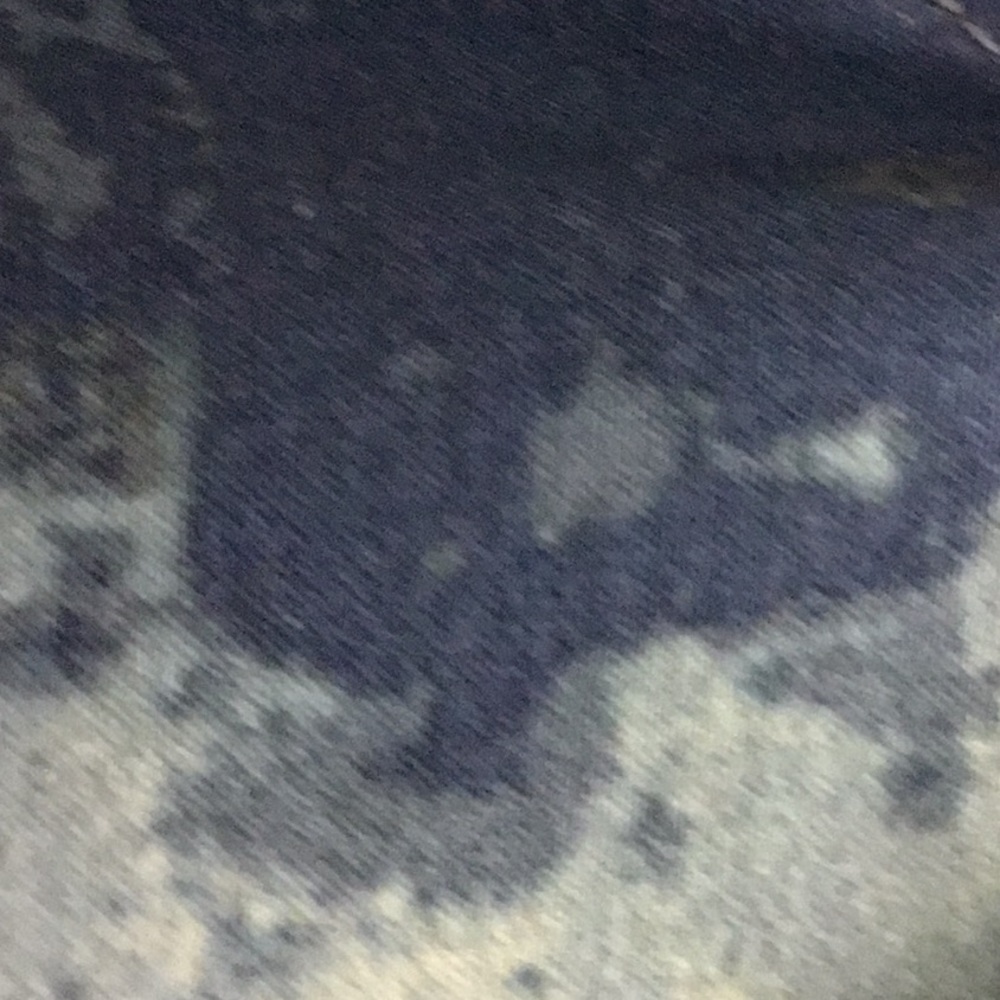 Meet your Posher, Abby